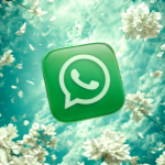 WhatsApp durum paylaşımlarına dört yeni araç ekledi