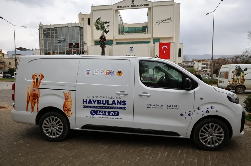 Adsız tasarım (77)-6