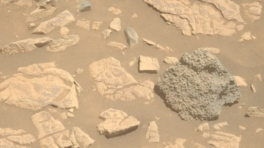 NASA'nın Perseverance Rover'ı Mars'ta Gizemli Kürelerle Kaplı Kaya Keşfetti