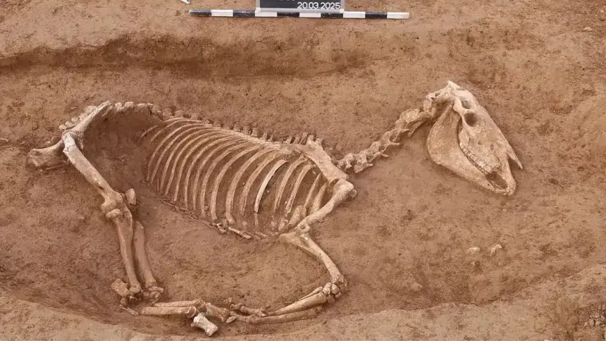 Almanya'da Roma Döneminden Toplu At Mezarlığı Bulundu
