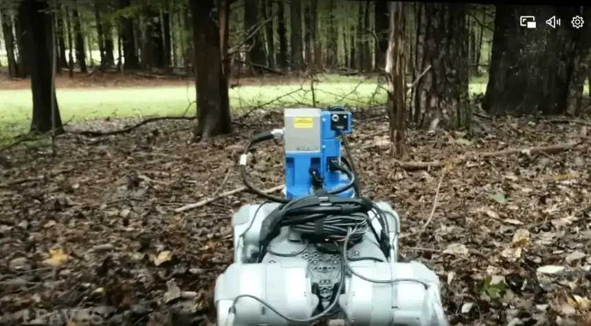 ABD’li Robot Köpek, İçgüdüleriyle Arazide İnsan Gibi Hareket Ediyor