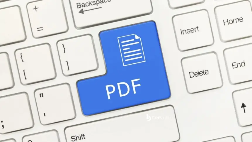 2025 En İyi PDF Düzenleyicileri