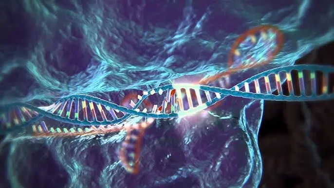 Makine Öğrenmesi ile Özel Üretim CRISPR Enzimleri Geliştirildi: Hedefe Yönelik Gen Düzenleme Hassaslaşıyor