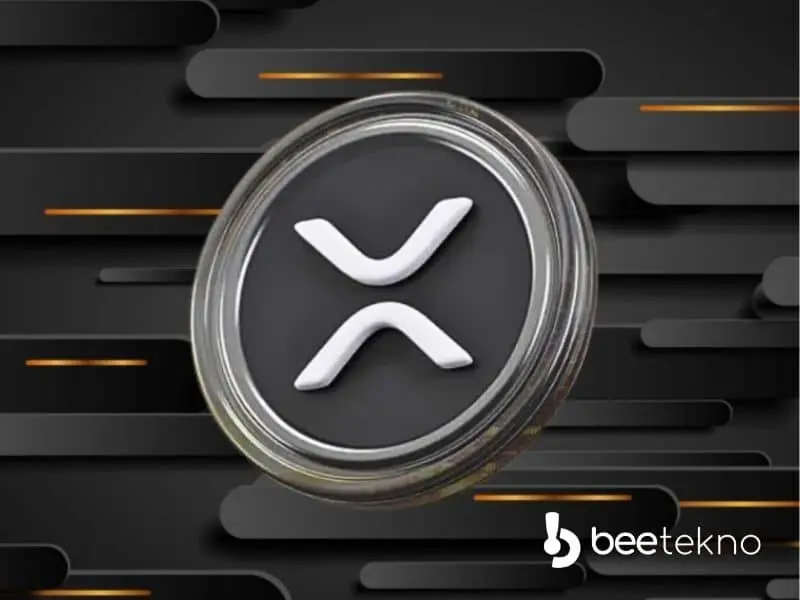 XRP İçin Yeni Hedef: 100 Dolar!