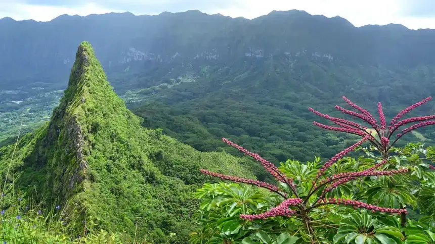 Hawaii Adası’ndaki Doğa Felaketi Geleceğe Uyarı mı?