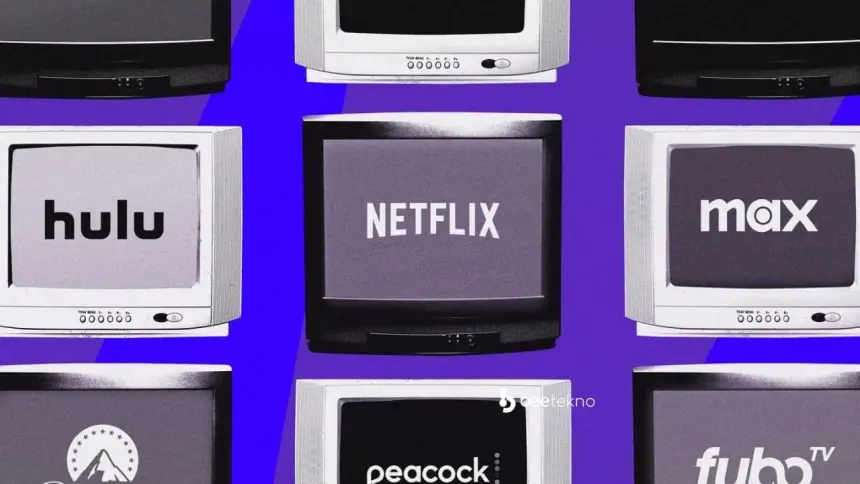 Dijital Platformlarda Reklamlı Abonelikler Yükselişte